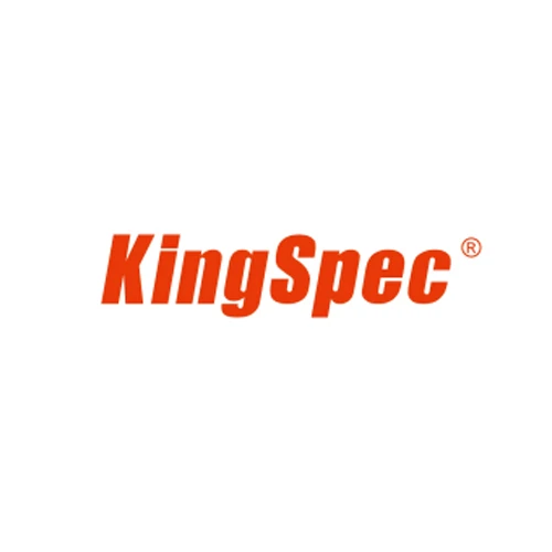Kingspec