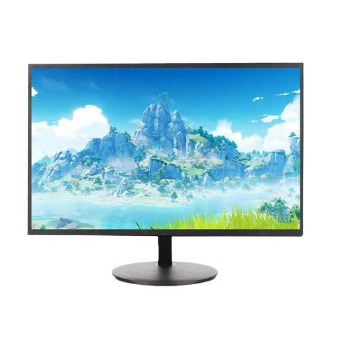 Esonic 19" LED HD Computer Monitor